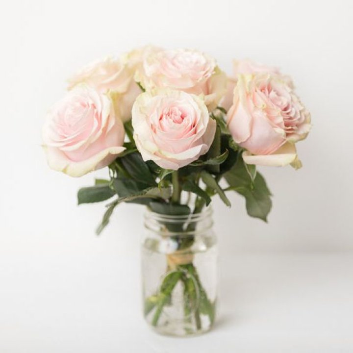 7 кремовых роз в Брянске