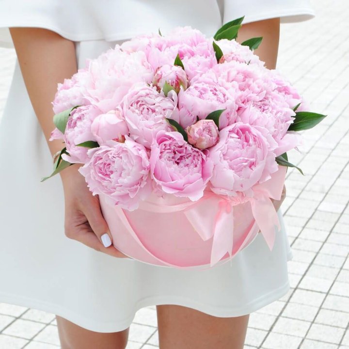 Пионы в шляпной коробке в Брянске