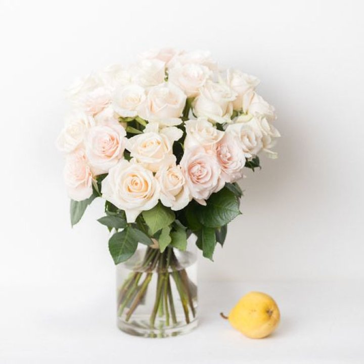 25 кремовых роз в Брянске