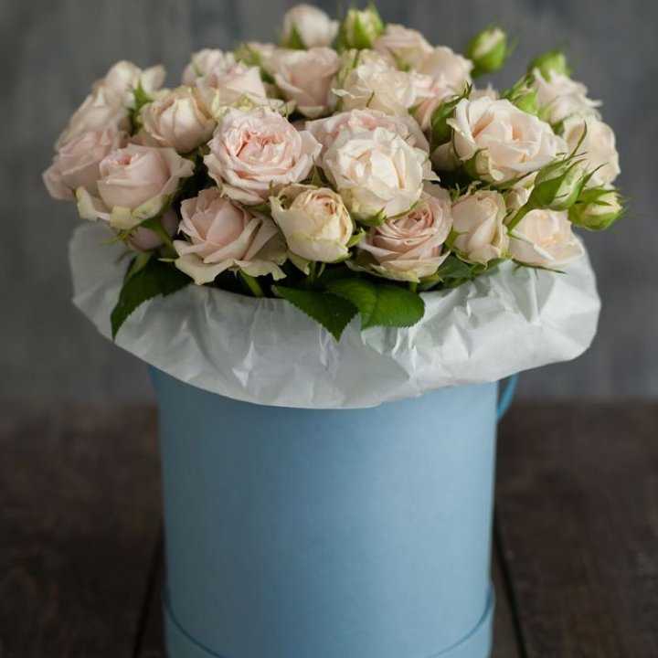 Бокс с бомбастиком в Брянске