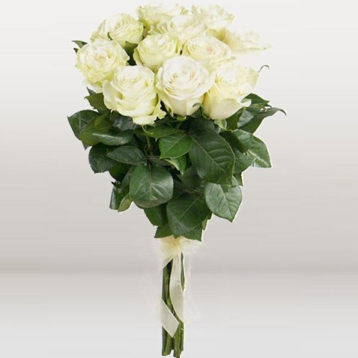 11 белых голландских роз в Брянске