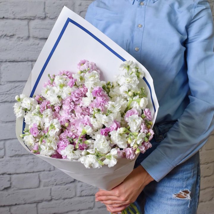 Маттиола в Брянске