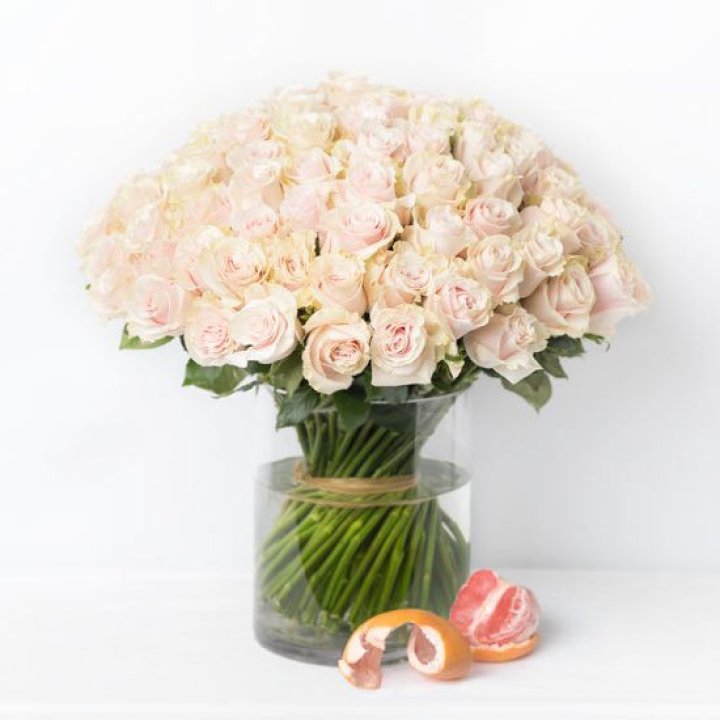 101 кремовая роза в Брянске