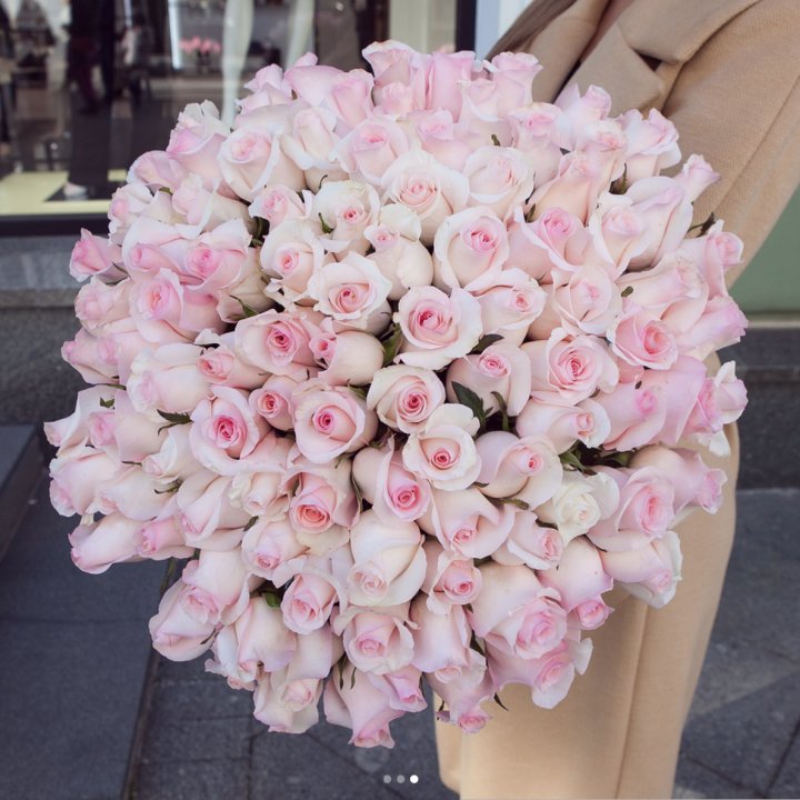 Розы "Пинк бум" в Брянске