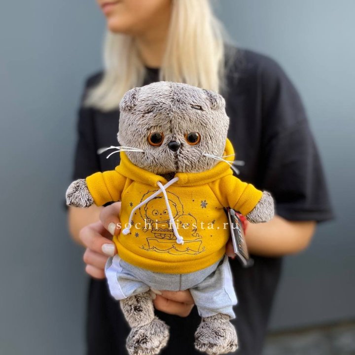 Кот Басик в худи в Брянске