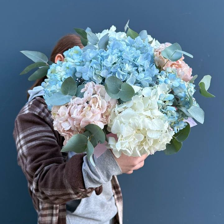 Гортензии в коробочке в Брянске