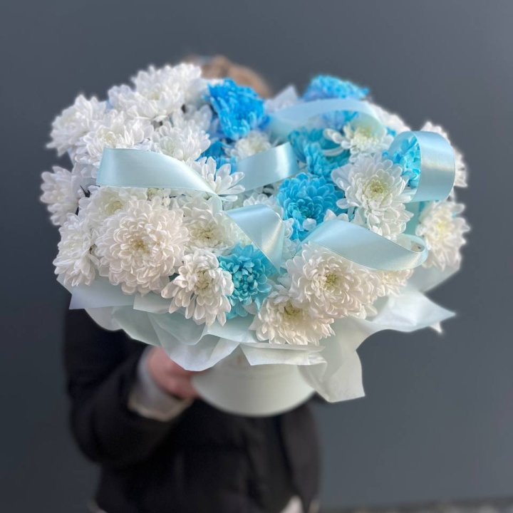 Хризнтемы в боксе в Брянске