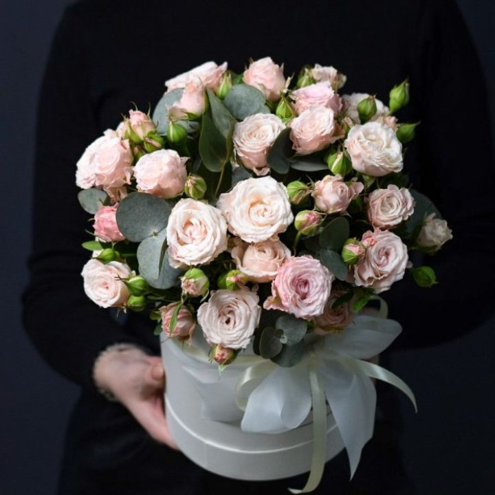 Бомбастик бокс №2 в Брянске