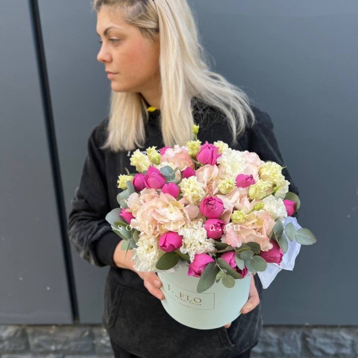 Сборный бокс премьер в Брянске