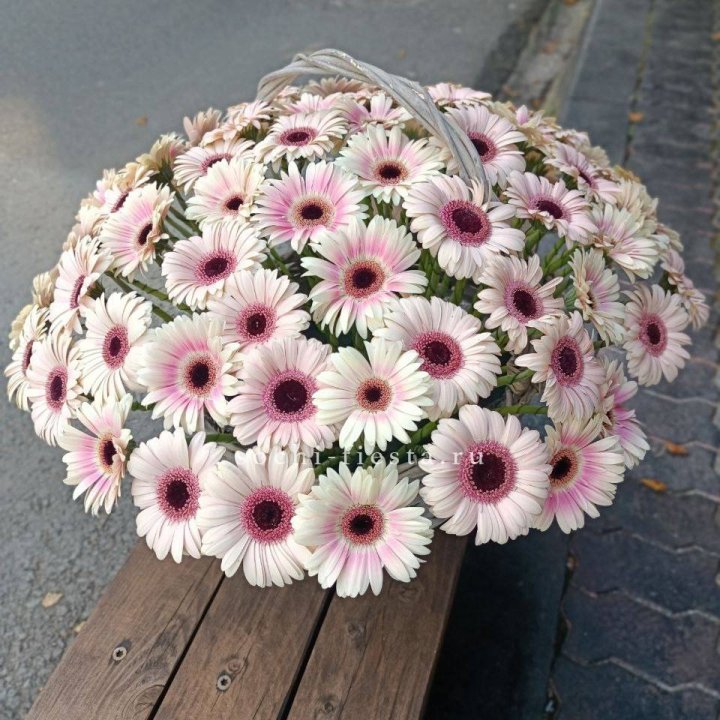 Корзина с герберами  в Брянске