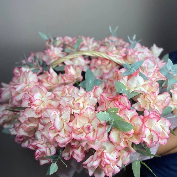 51 джумилия  в корзине   в Брянске