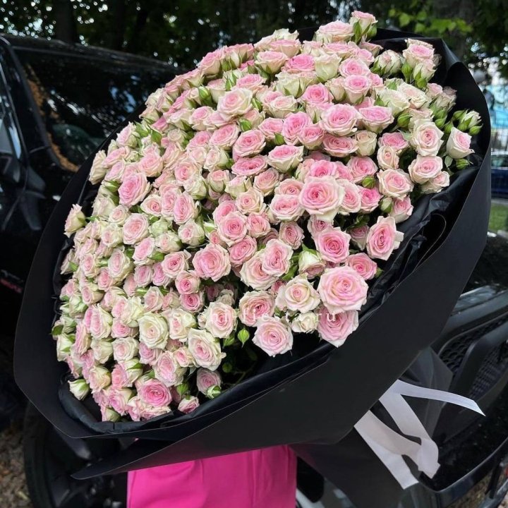 101 кустовая роза "Твистер" в Брянске