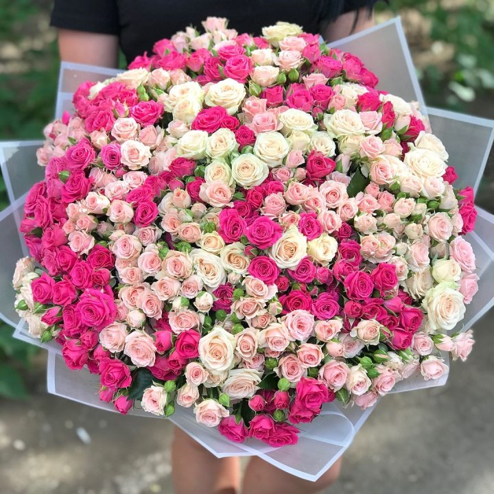 101 кустовая роза в Брянске