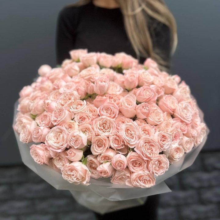 51 кустовая роза Бомбастик в Брянске