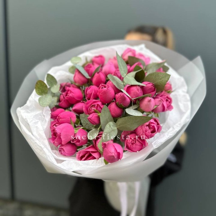 17 Мисти бабблс в Брянске