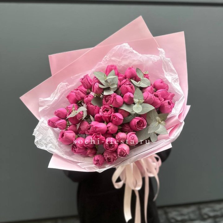 25 Мисти бабблс в Брянске