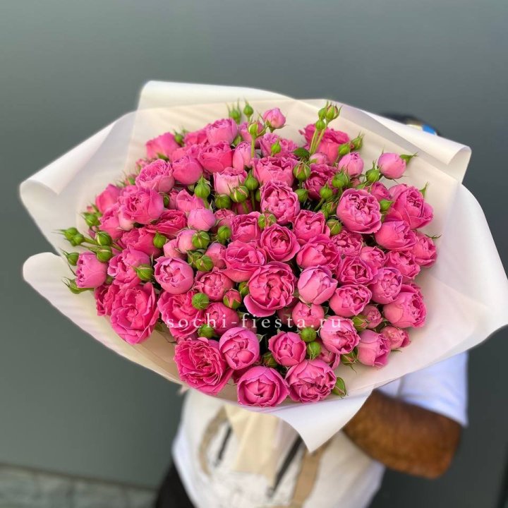 Мисти Баблс 35шт в Брянске