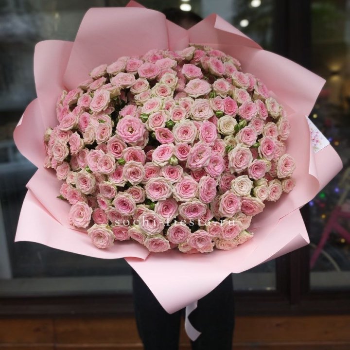 51 кустовая роза Твистер в Брянске