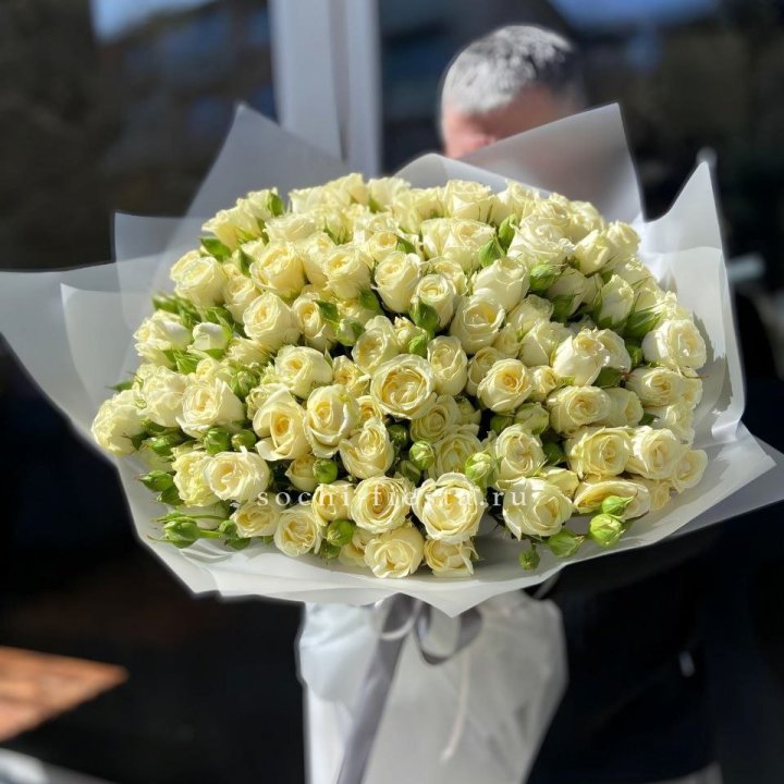 Белые кустовые розы 31 шт в Брянске