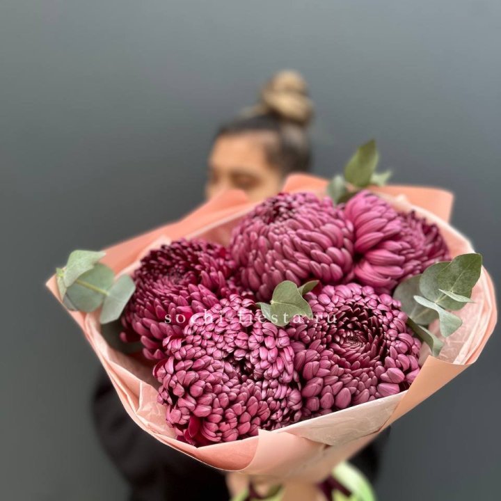 Хризантемы  Бигуди  в Брянске