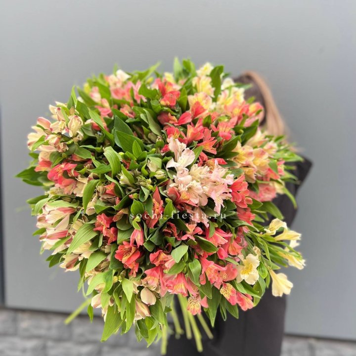 51 альстромерия в Брянске