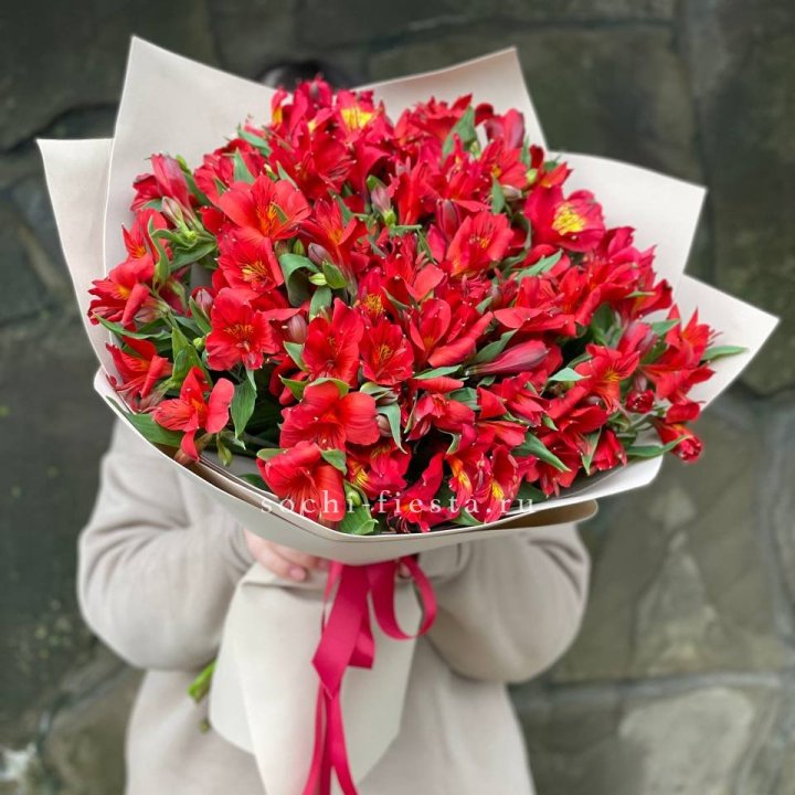 51 альстромерия в Брянске