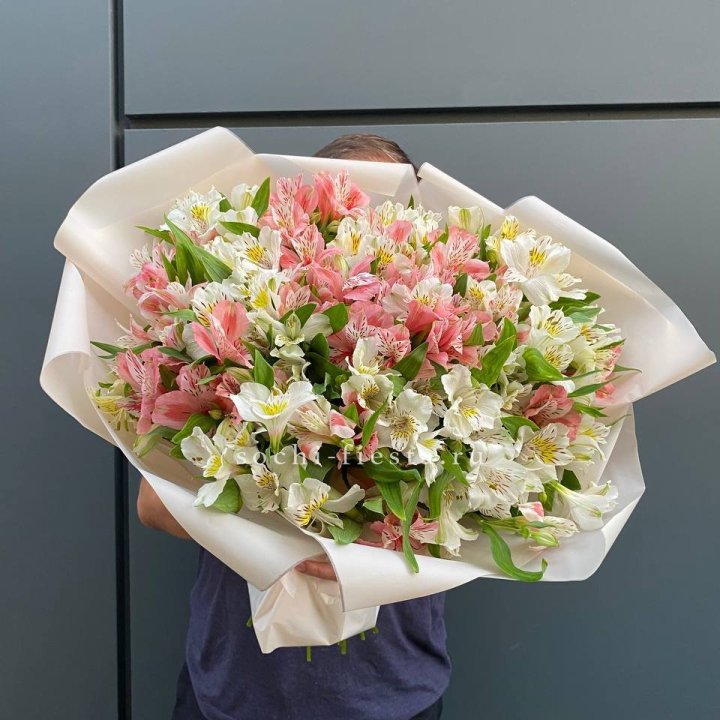 39 альстромерий в Брянске