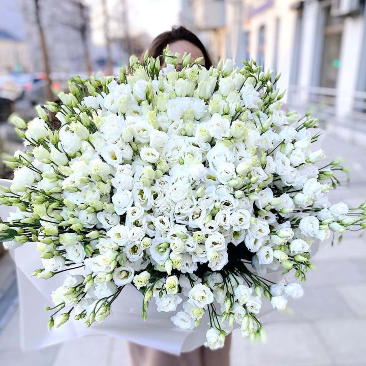 101 белая эустома в Брянске