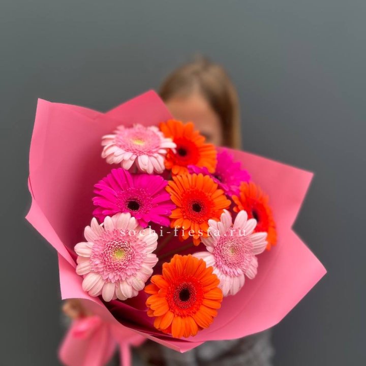 Краски в Брянске