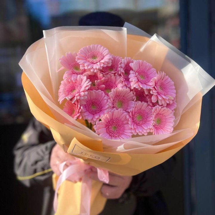 17 розовых гербер  в Брянске