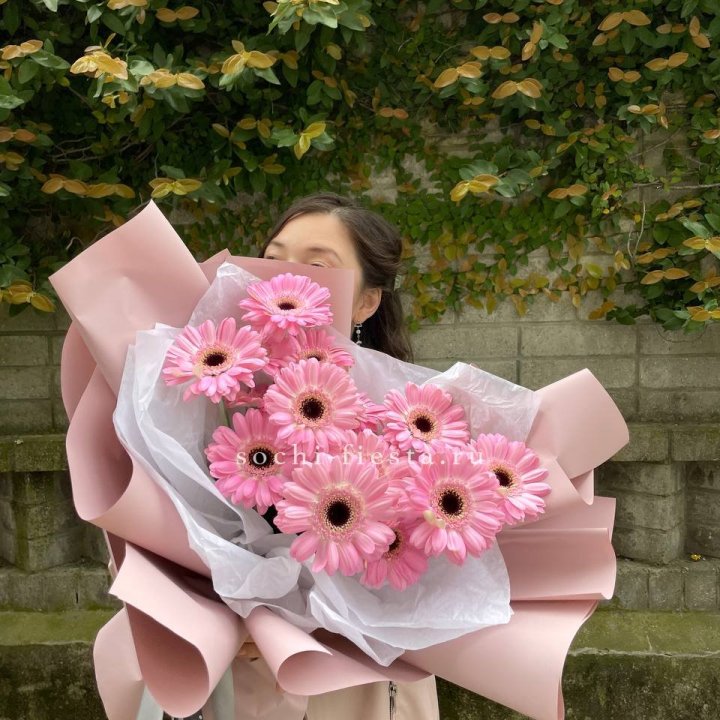 13 розовых гербер в Брянске