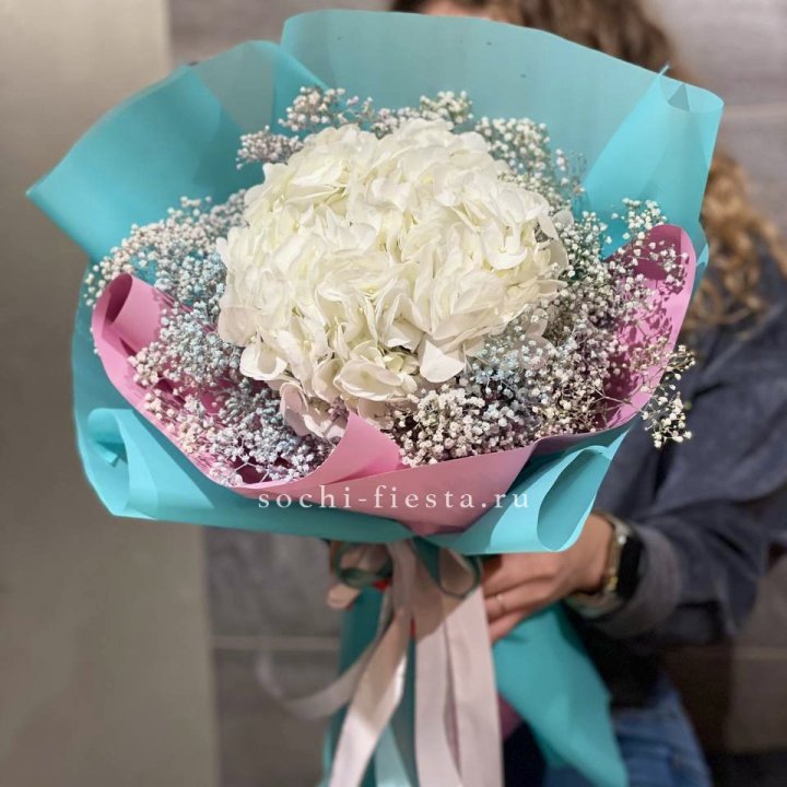 Гортензия "Райдов" в Брянске