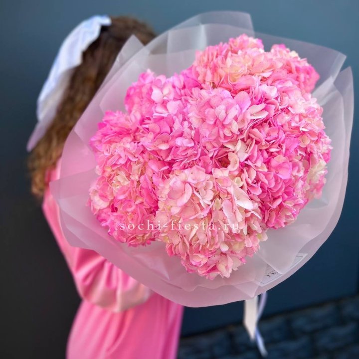 7 ярко розовых гортензий в Брянске