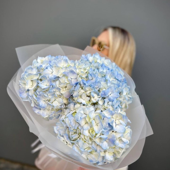 Букет из 3 голубых гортензий  в Брянске