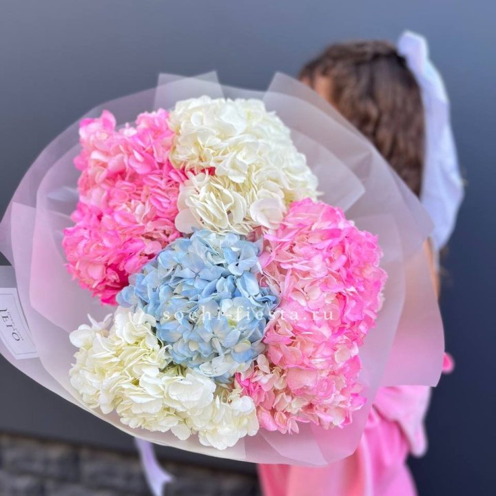 7 гортензий микс в Брянске