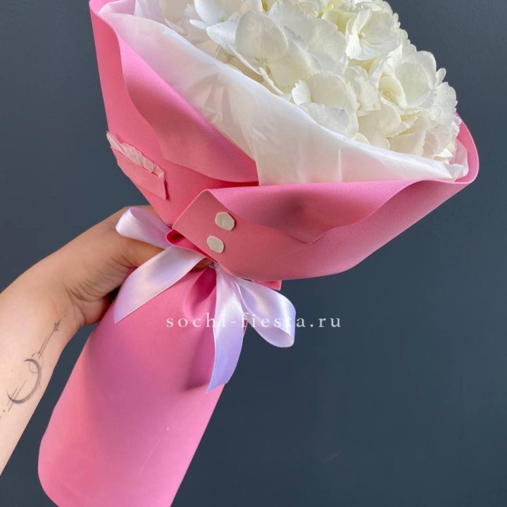 Гортензия в розовом пиджаке в Брянске