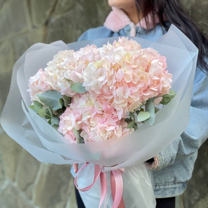 5 розовых гортензий в Брянске