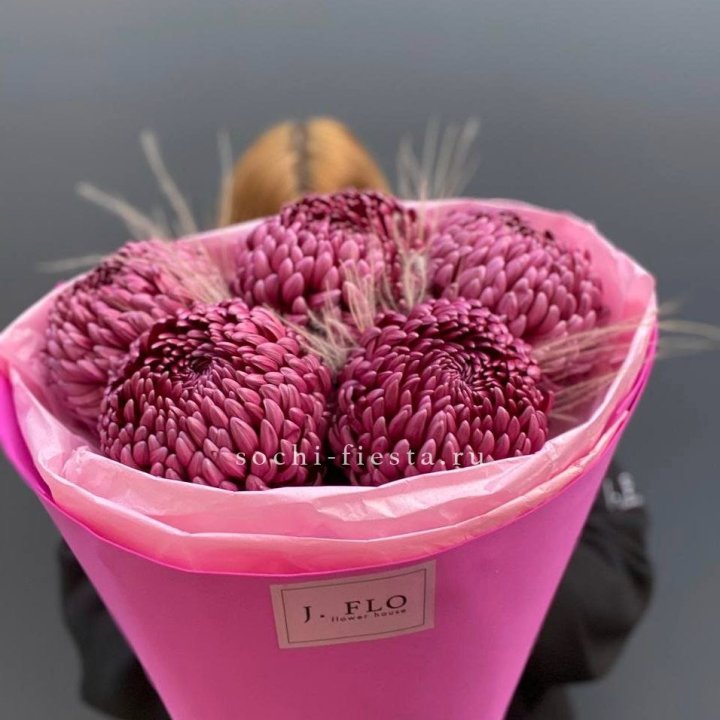 Хризантемы  Бигуди с стифой в Брянске