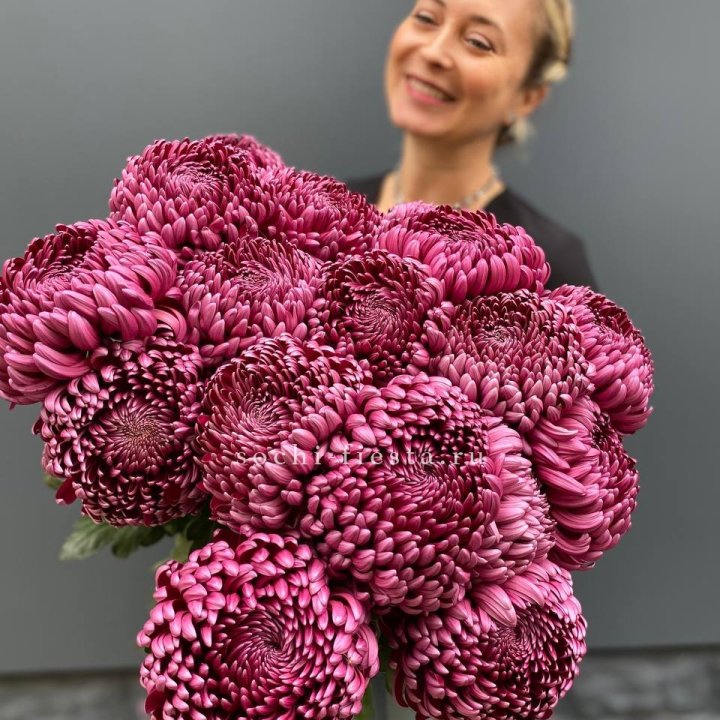 Охапка хризантем Бигуди в Брянске