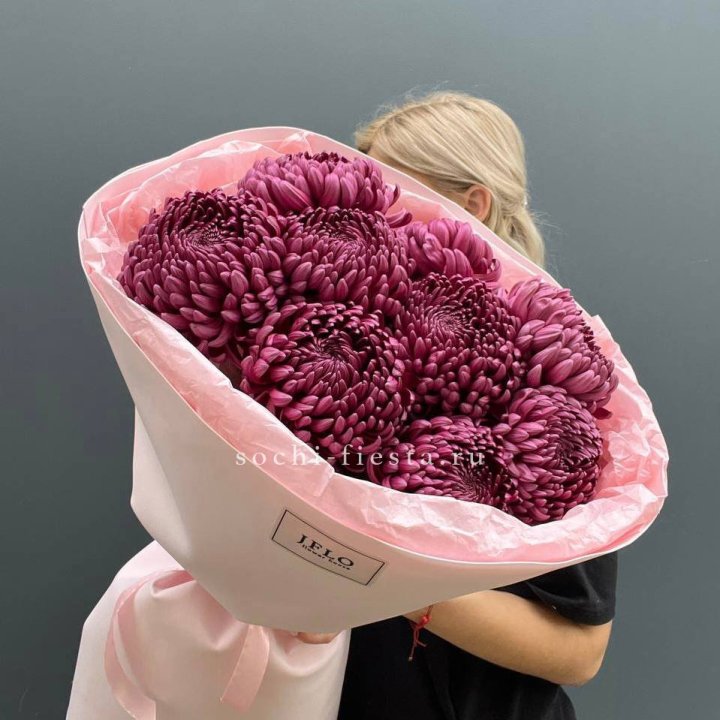 9 хризантем бигуди в Брянске