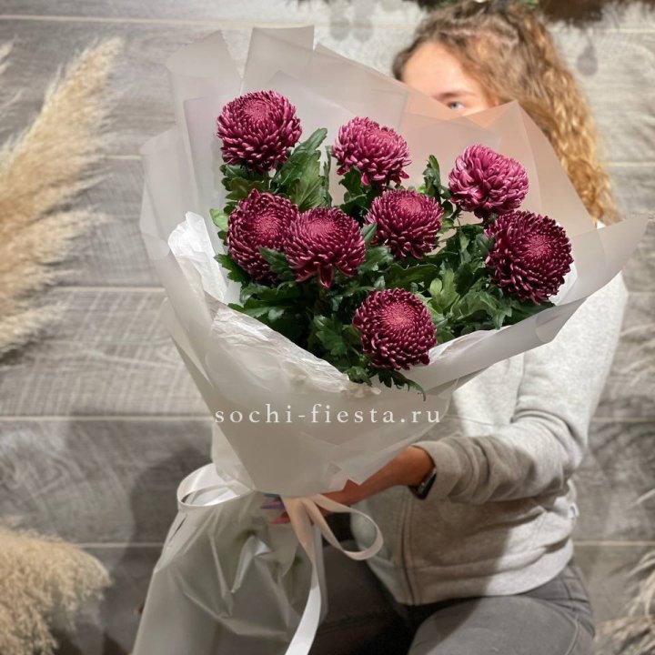 Хризантемы Бигуди в Брянске