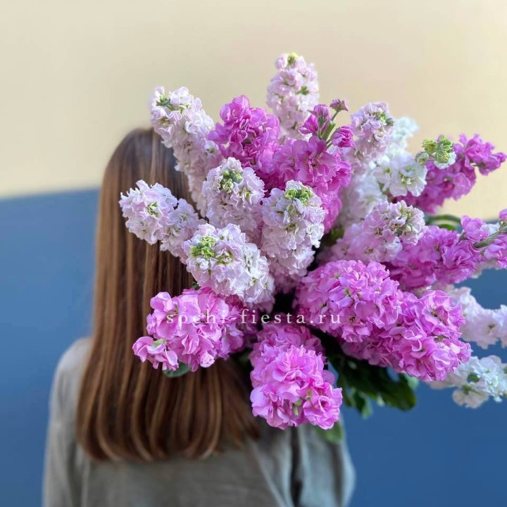 Охапка маттиолы в Брянске