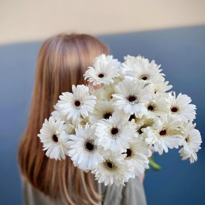 Охапка гербер в Брянске