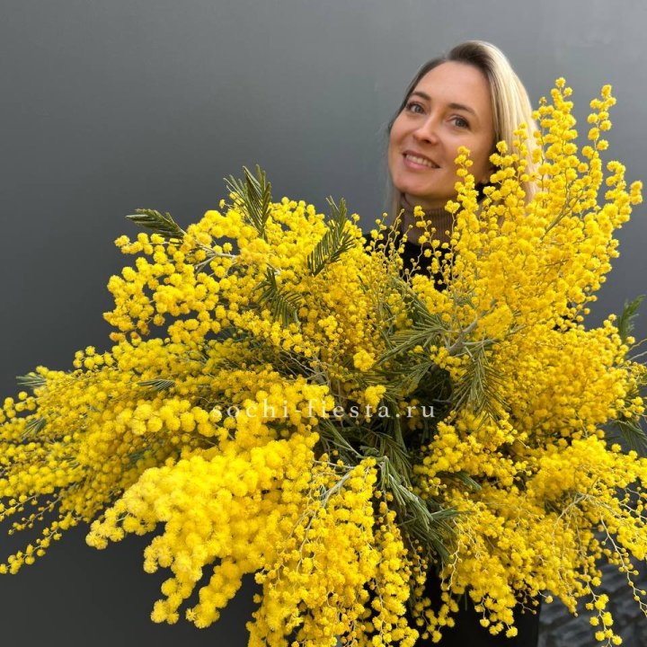 Охапка мимозы №2 в Брянске