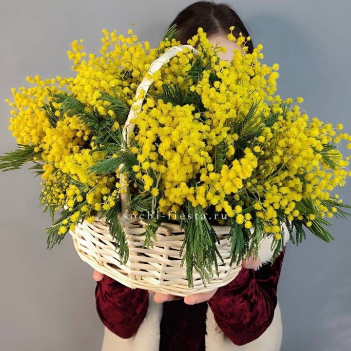Корзина ароматной мимозы в Брянске