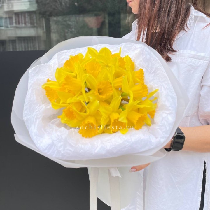 Нарциссы 25 шт в Брянске