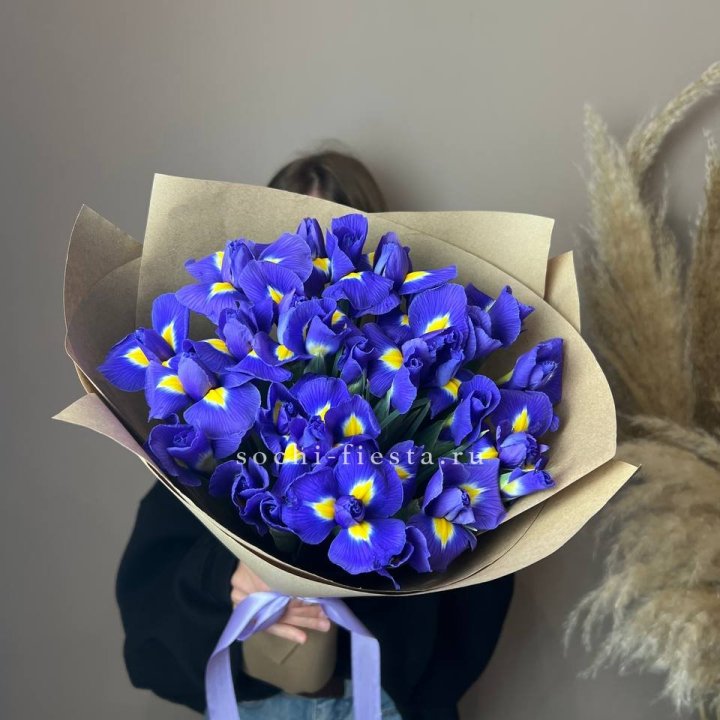 Ирисы в Брянске