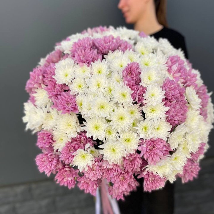  Букет 25 хризантем микс в Брянске