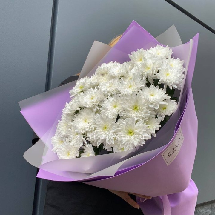  7 хризантем  в Брянске