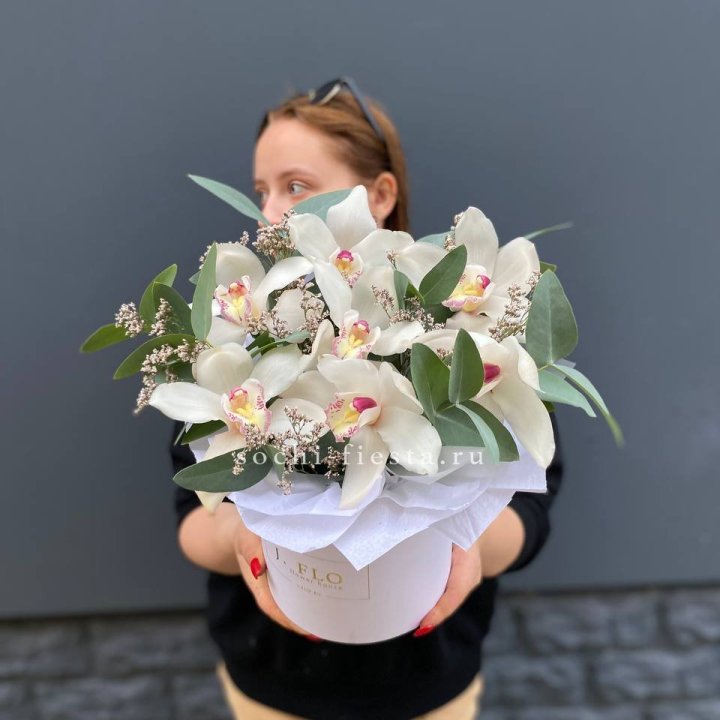 7 орхидей в боксе в Брянске